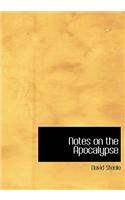 Notes on the Apocalypse: (English)