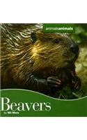 Beavers