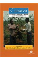 Cassava