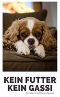 Kein Futter Kein Gassi Cavaller King Charles Spaniel: 120 Seiten liniert in ca. A5 Softcover - Perfekt als Notizbuch für alle Hunde Fans, Hundeliebhaber zum Hundetraining