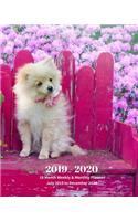 2019 - 2020 18 Month Weekly & Monthly Planner July 2019 to December 2020