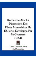 Recherches Sur La Disposition Des Fibres Musculaires De L'Uterus Developpe Par La Grossesse (1864)