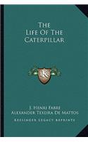 The Life Of The Caterpillar