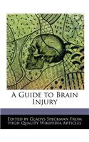 A Guide to Brain Injury