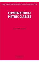 Combinatorial Matrix Classes