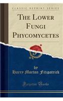 The Lower Fungi Phycomycetes (Classic Reprint): (English)