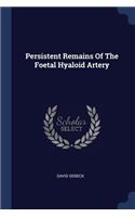Persistent Remains Of The Foetal Hyaloid Artery