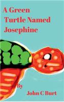 A Green Turtle Named Josephine.
