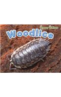 Woodlice: (Creepy Critters)
