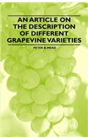 An Article on the Description of Different Grapevine Varieties