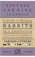 A Guide to Keeping Rabbits on a Smallholding - A Selection of Classic Articles on Housing, Feeding, Breeding and Other Aspects of Rabbit Management (Self-Sufficiency Series): (English)