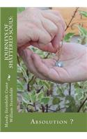 Journeys of Shattered Souls: : Absolution ?