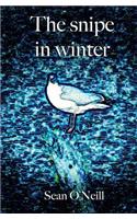 The snipe in winter: (English)