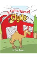 A Camel Named Clyde