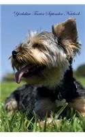 Yorkshire Terrier September Notebook Yorkshire Terrier Record, Log, Diary, Special Memories, To Do List, Academic Notepad, Scrapbook & More