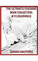 The Ultimate Coloring Book Collection #10 Squirrels