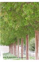 Row of Trees Journal Notebook