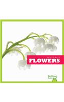 Flowers: (Nature Walk)