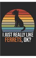 I Just Really Like Ferrets, OK?: DIN A5 Frettchen Notizheft leer - 120 Seiten leeres Frettchen Notizbuch für Notizen in Schule, Universität, Arbeit oder zuhause. - Eine tolles Gesch
