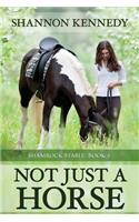 Not Just a Horse