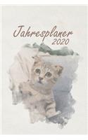 Jahresplaner 2020: Taschenkalender A5 - Terminkalender 2020 - Jahresplaner - Wochenplaner - modisch & schlicht - Organizer