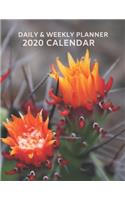 2020 Planner, Year Daily Weekly Calendar Planner with Cactus Flower