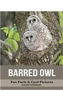 Barred Owl: Fun Facts & Cool Pictures