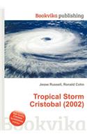 Tropical Storm Cristobal (2002)