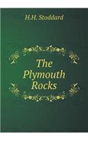 The Plymouth Rocks