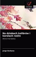 Na dziobach kolibrów i korolach ro&#347;lin