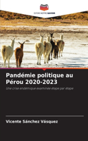 Pandémie politique au Pérou 2020-2023