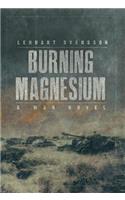 Burning Magnesium