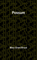 Possum