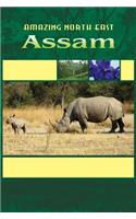 Amazing North East_ Assam