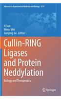 Cullin-Ring Ligases and Protein Neddylation