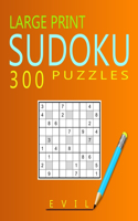 Large Print Evil Sudoku Puzzles