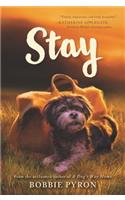 Stay