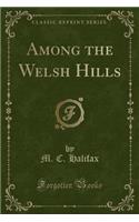 Among the Welsh Hills (Classic Reprint)