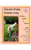 Kitten Needs a Home