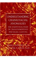 Understanding Craniofacial Anomalies