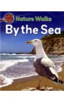 By the Sea