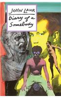 Diary of a Somebody