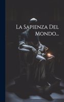 La Sapienza Del Mondo...