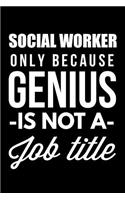 Social Worker Only Because Genius Is Not A Job Title