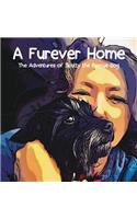 Furever Home