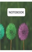 Notebook: Pretty Dandelion Cover, 6 x 9 with 125 pages.