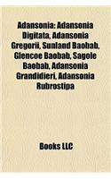 Adansonia: Adansonia Digitata, Adansonia Gregorii, Sunland Baobab, Glencoe Baobab, Sagole Baobab, Adansonia Grandidieri, Adansonia Rubrostipa(English)