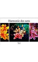 Harmonie Des Sens Beaux Lys 2018