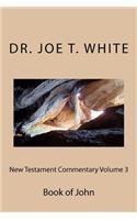 New Testament Commentary Volume 3