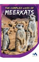 The Complex Lives of Meerkats